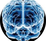 cerebro