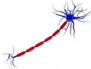 alzheimer2 alzheimer2