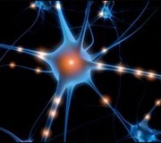 neuronio neuronio