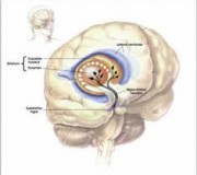 parkinson parkinson