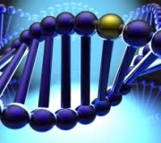 genes genes