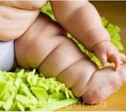 gordo gordo