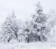 inverno